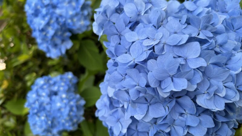 久々の投稿です(;・∀・)