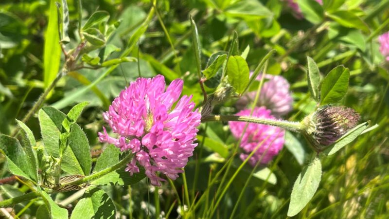 ドローンライフは健康な体で